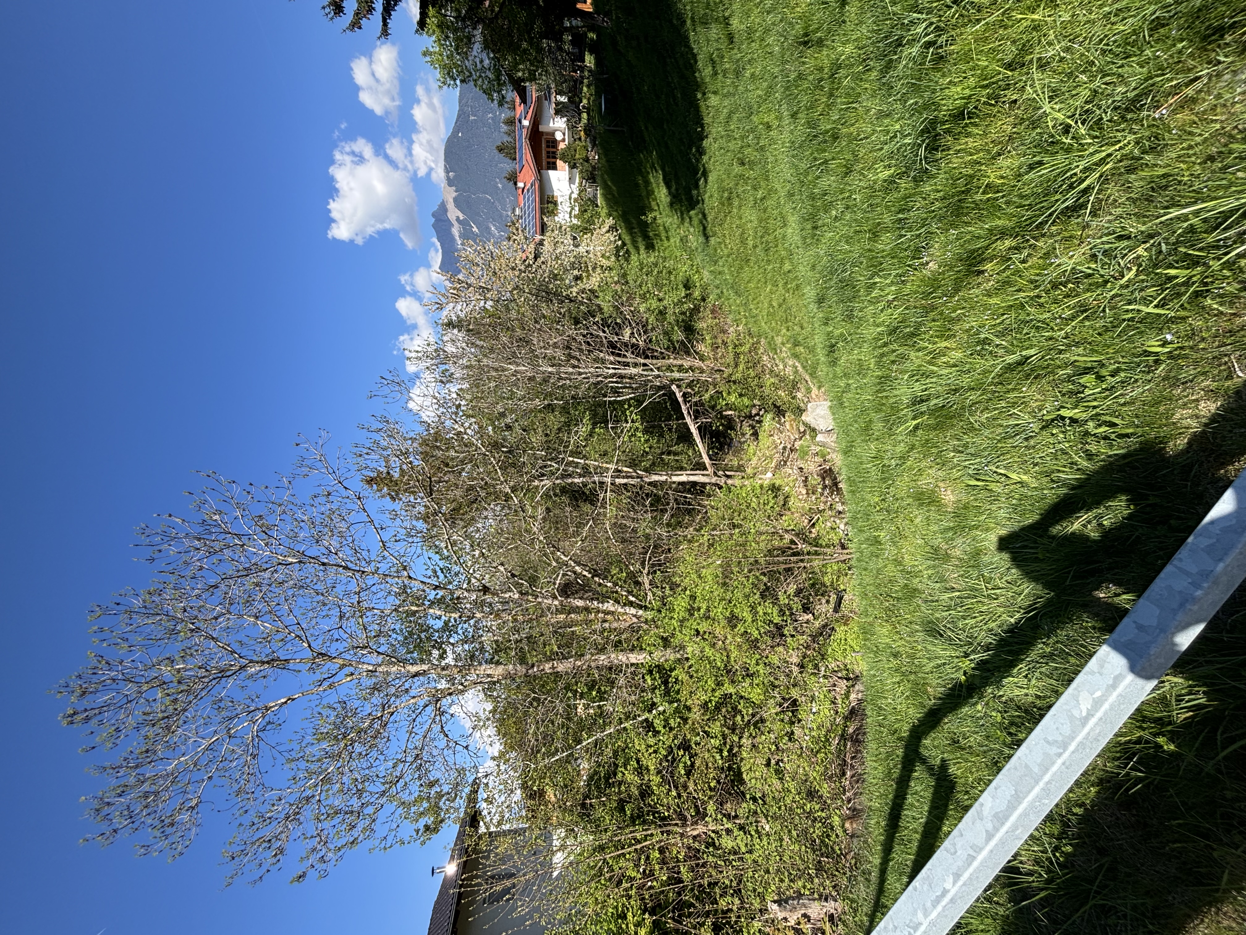 Ca. 1000 Quadratmeter gro�es Baugrundst�ck in Weerberg! /  / 6133&nbsp;Weerberg / Bild 4