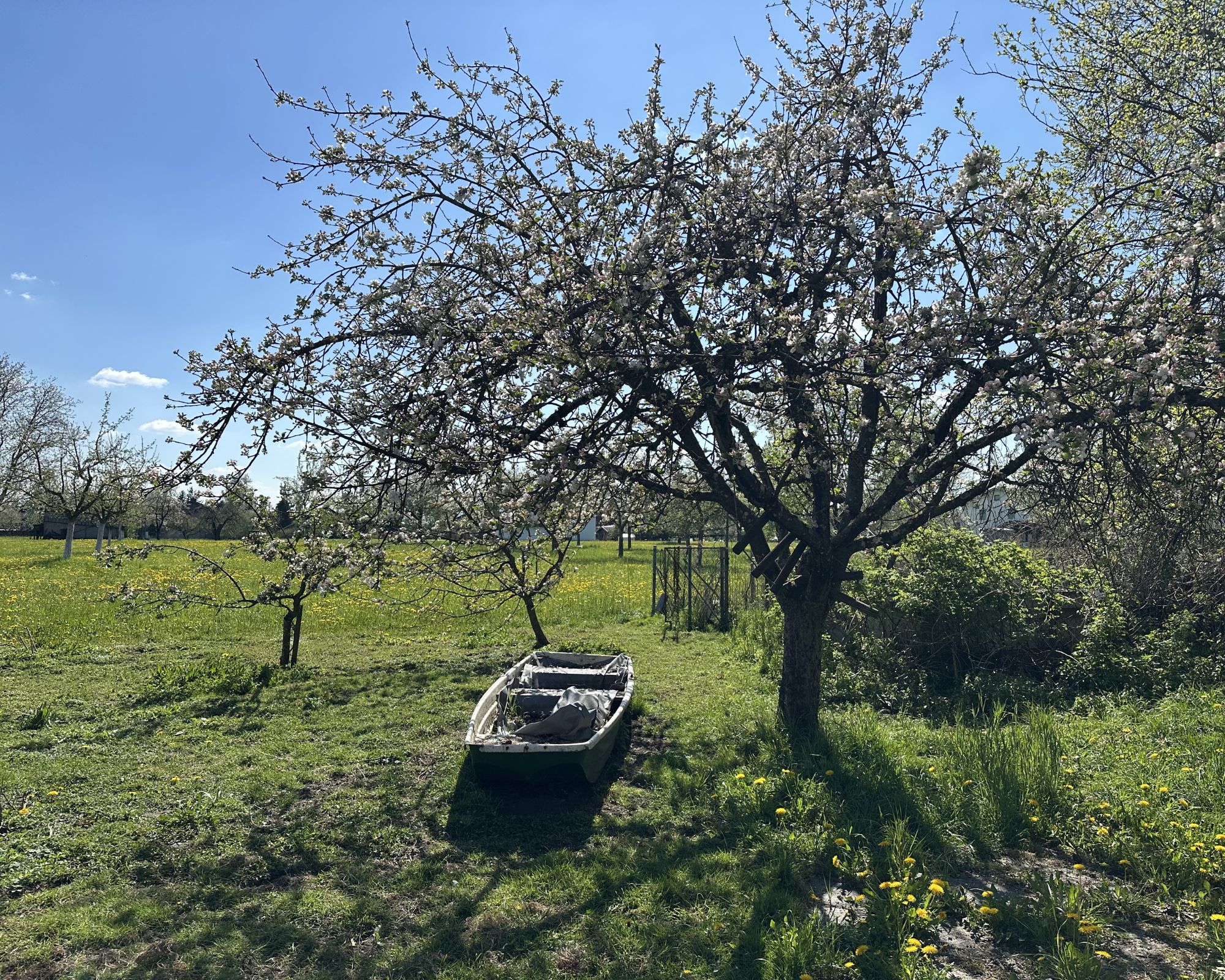 Einfamilienhaus mit gro�em Garten /  / 5121&nbsp;Ostermiething / Bild 3