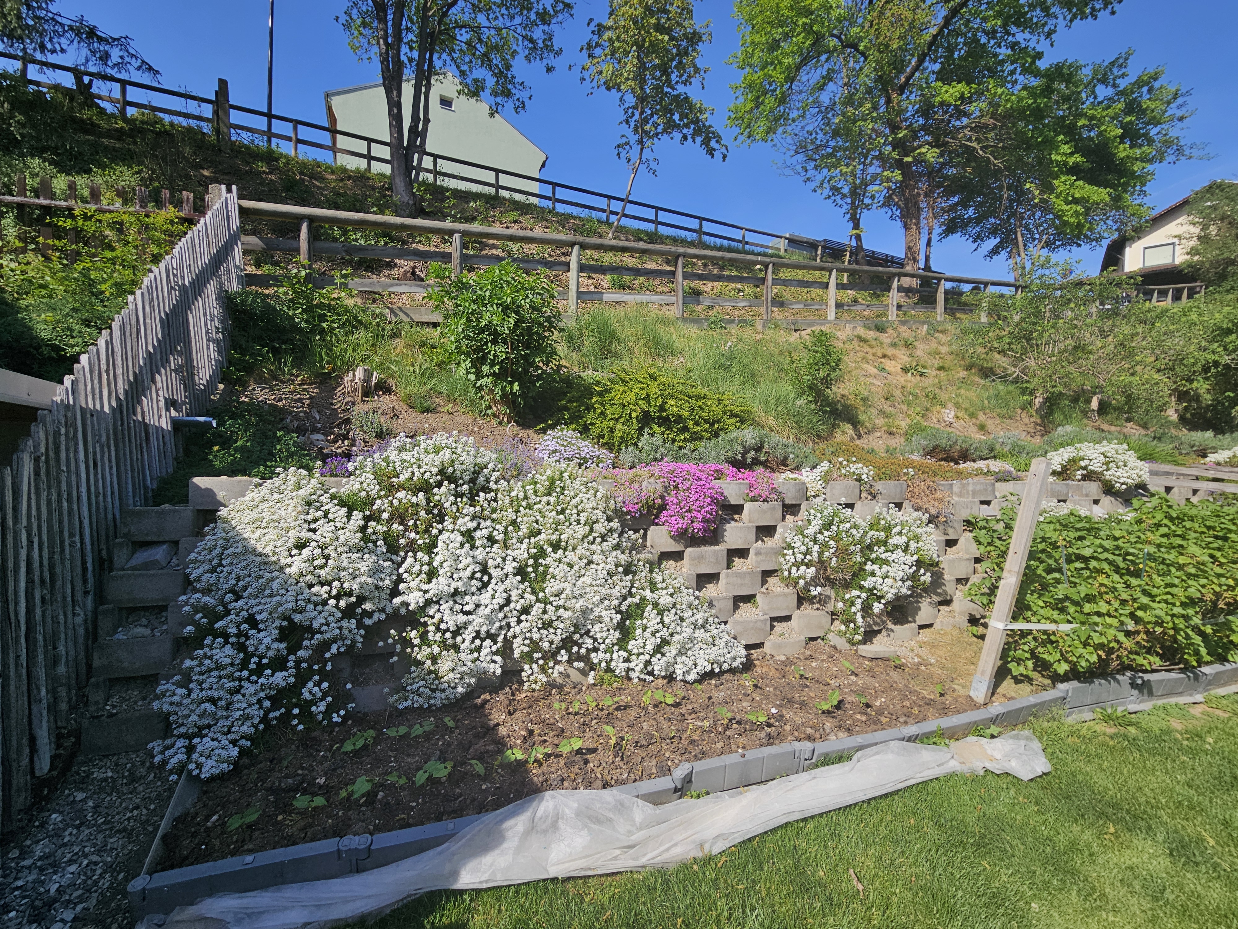 Ein- oder Zweifamilienhaus in bester Wohnqualit�t mit Garten und Carport in Toplage!  /  / 8600&nbsp;Bruck an der Mur / Bild 7