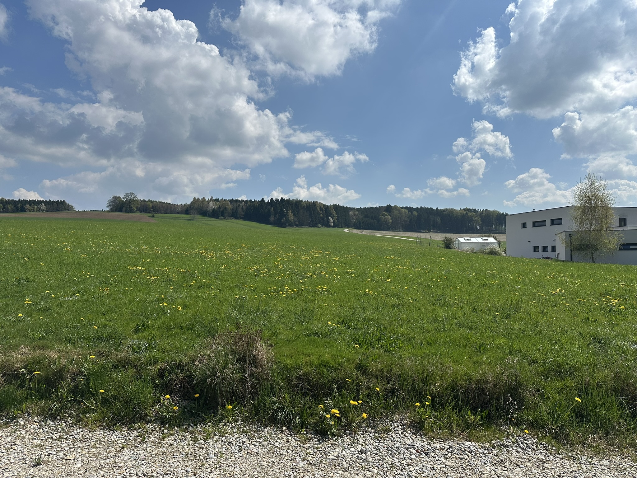 Attraktives Grundst�ck im Innviertel / N�he Mattighofen /  / 5143&nbsp;Feldkirchen bei Mattighofen / Bild 4