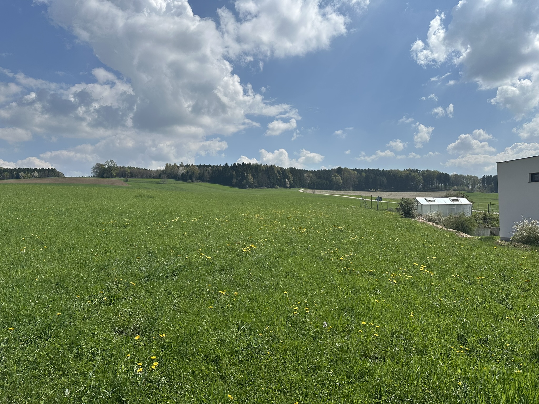 Attraktives Grundst�ck im Innviertel / N�he Mattighofen /  / 5143&nbsp;Feldkirchen bei Mattighofen / Bild 1