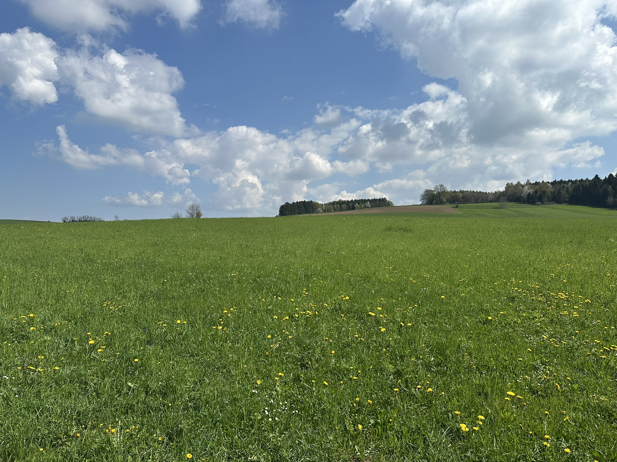 Aehnliche Immobilie - Vorschaubild 1