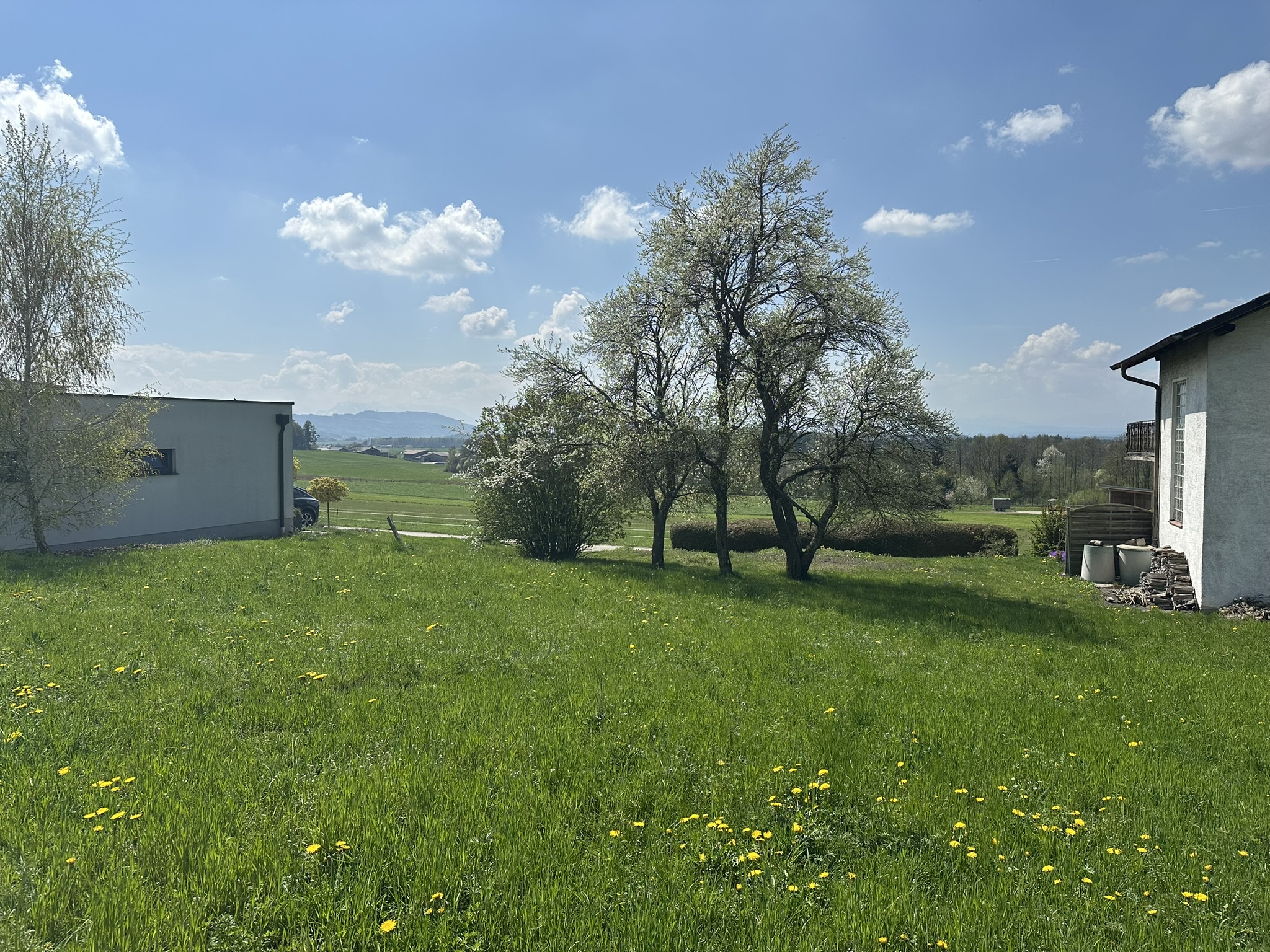 Attraktives Grundst�ck im Innviertel / N�he Mattighofen /  / 5143&nbsp;Feldkirchen bei Mattighofen / Bild 2