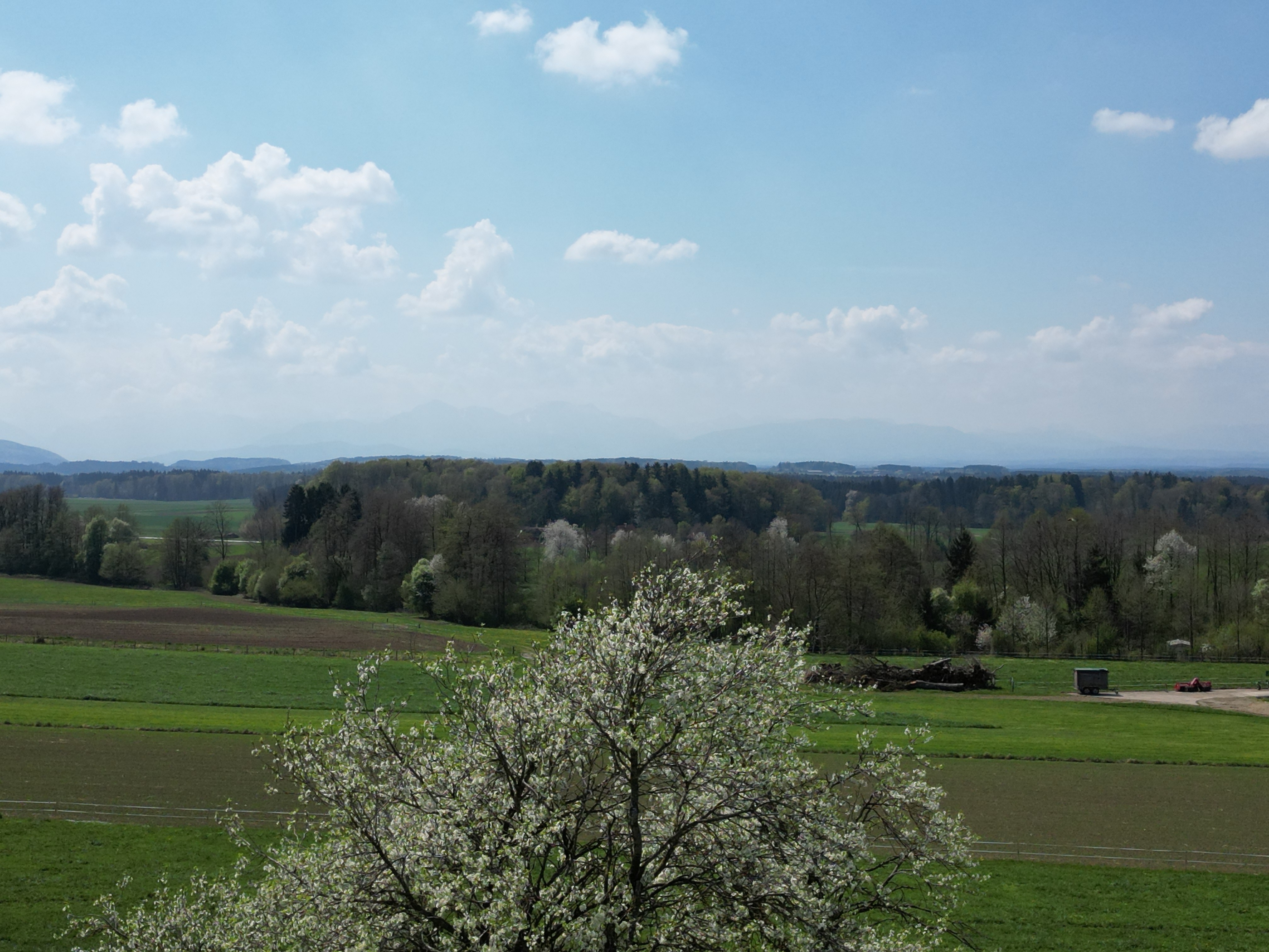 Attraktives Grundst�ck im Innviertel / N�he Mattighofen /  / 5143&nbsp;Feldkirchen bei Mattighofen / Bild 8