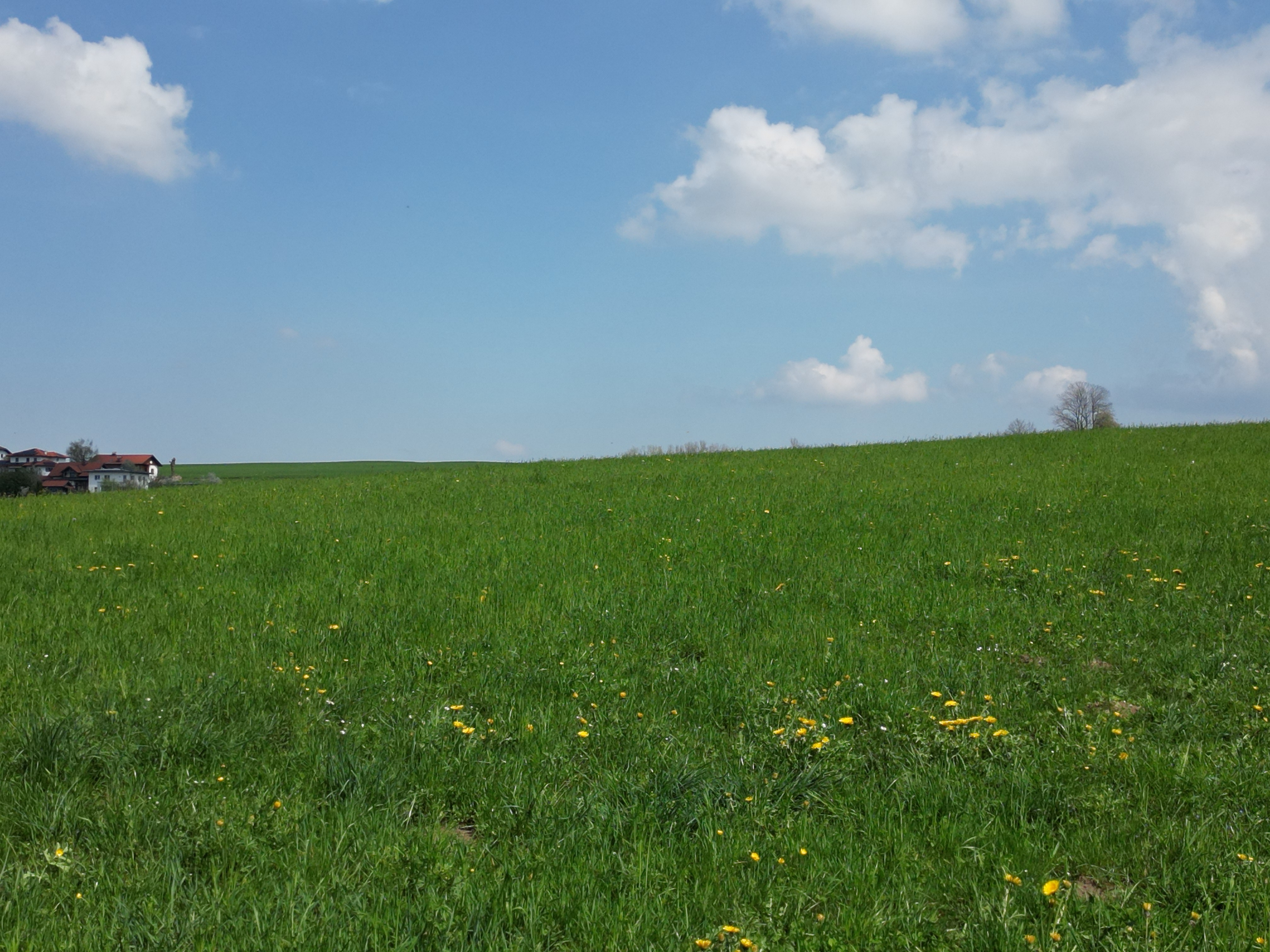 Attraktives Grundst�ck im Innviertel / N�he Mattighofen /  / 5143&nbsp;Feldkirchen bei Mattighofen / Bild 7