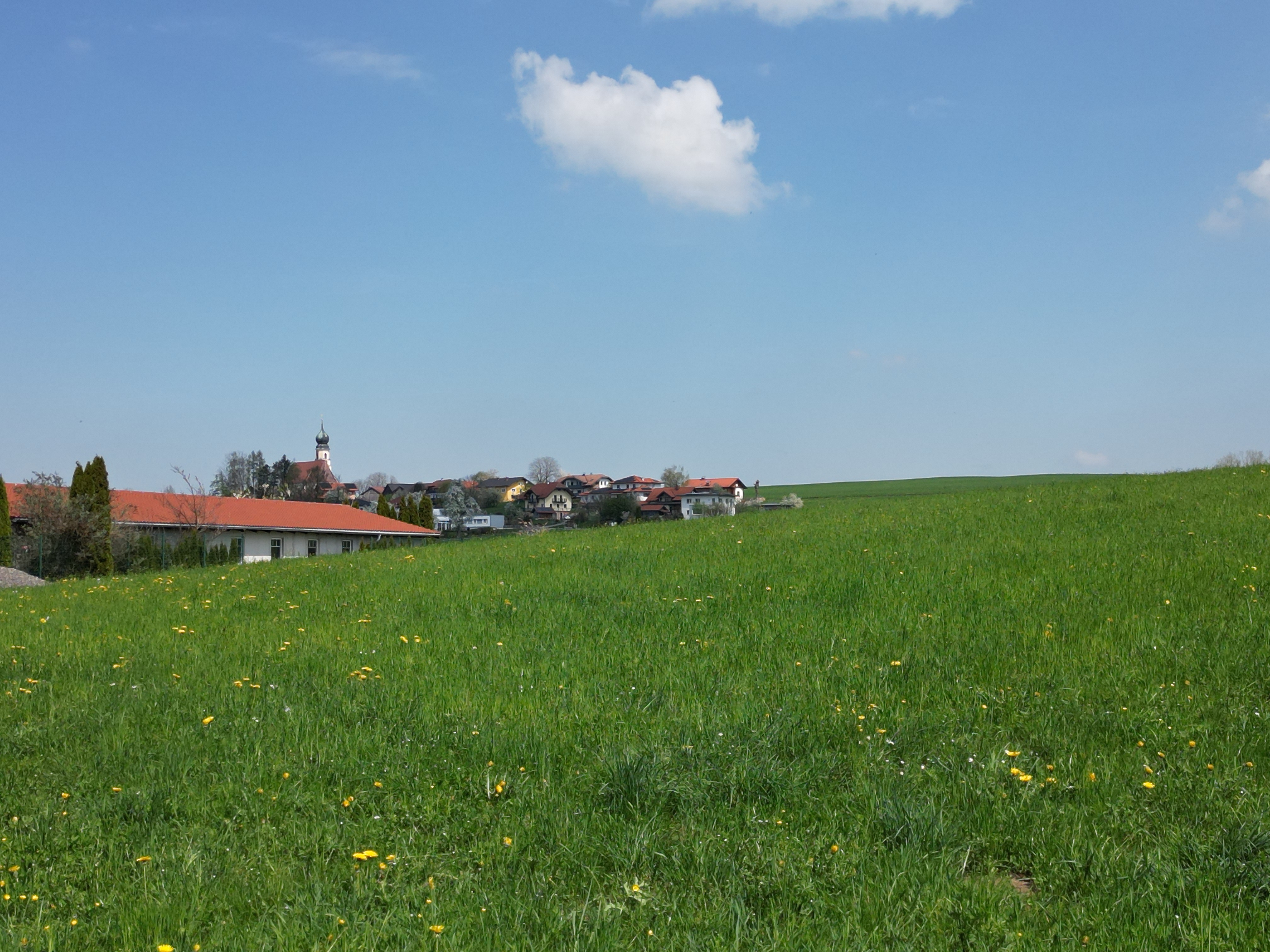 Attraktives Grundst�ck im Innviertel / N�he Mattighofen /  / 5143&nbsp;Feldkirchen bei Mattighofen / Bild 9