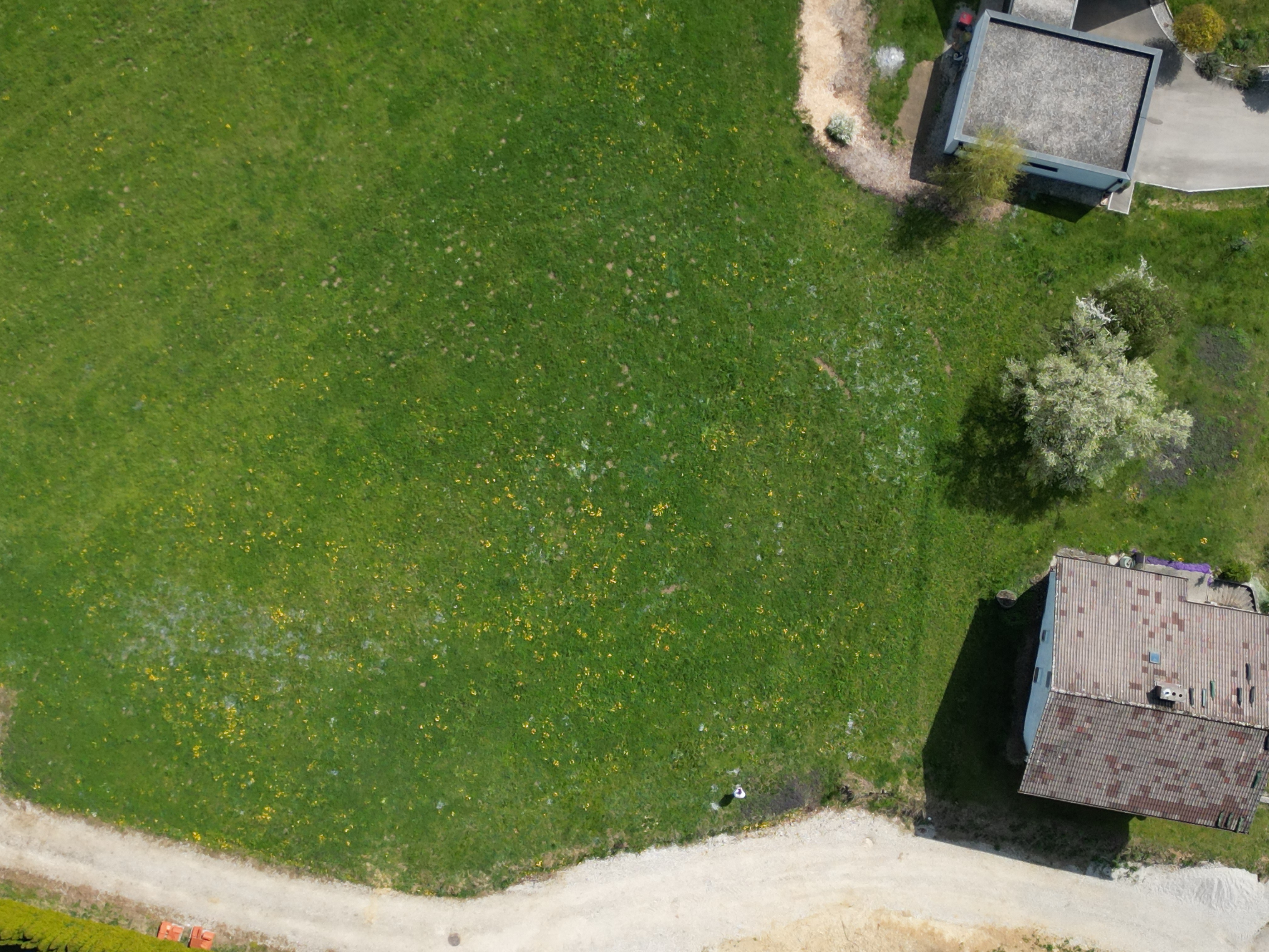 Attraktives Grundst�ck im Innviertel / N�he Mattighofen /  / 5143&nbsp;Feldkirchen bei Mattighofen / Bild 6