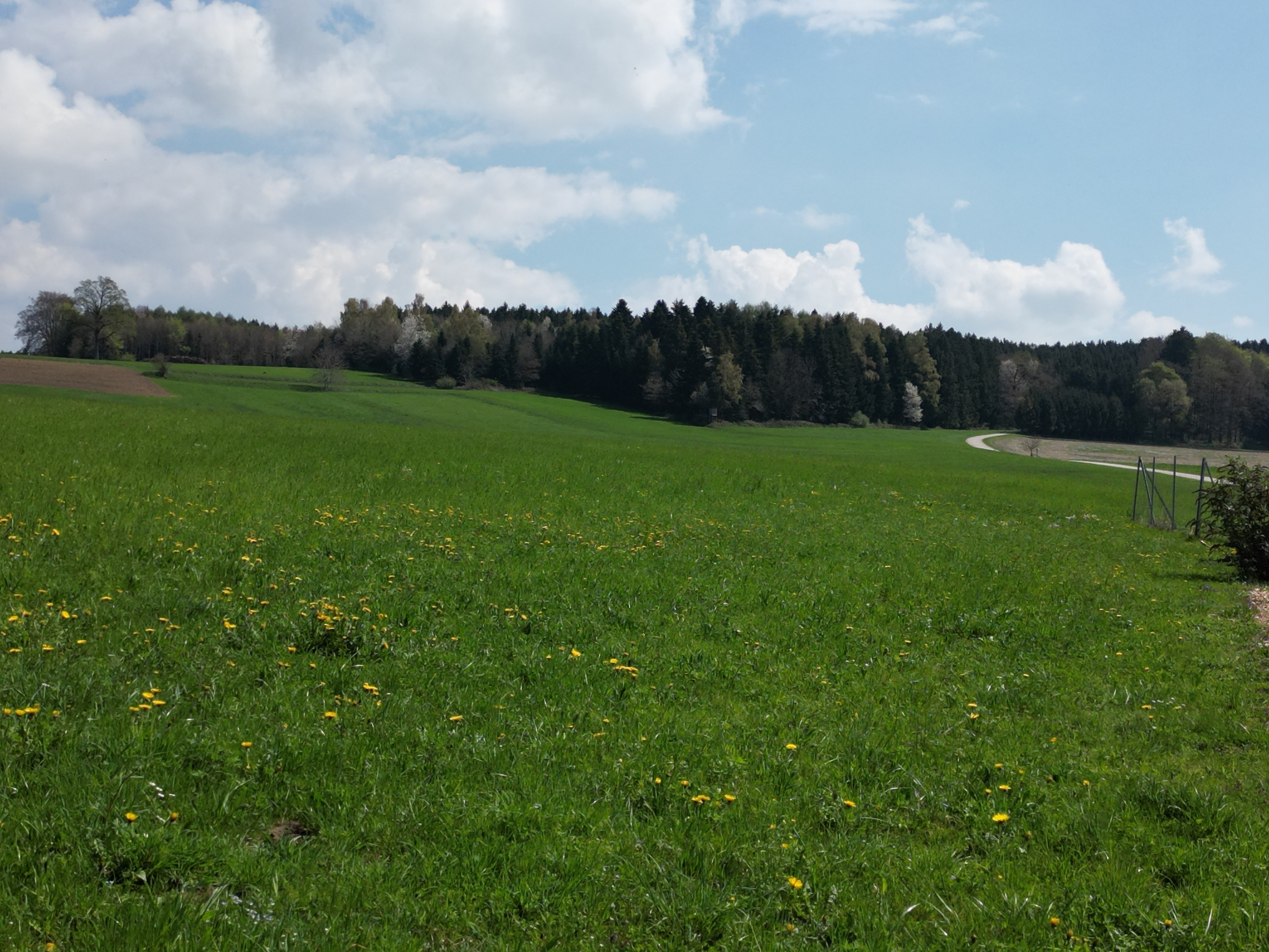 Attraktives Grundst�ck im Innviertel / N�he Mattighofen /  / 5143&nbsp;Feldkirchen bei Mattighofen / Bild 5