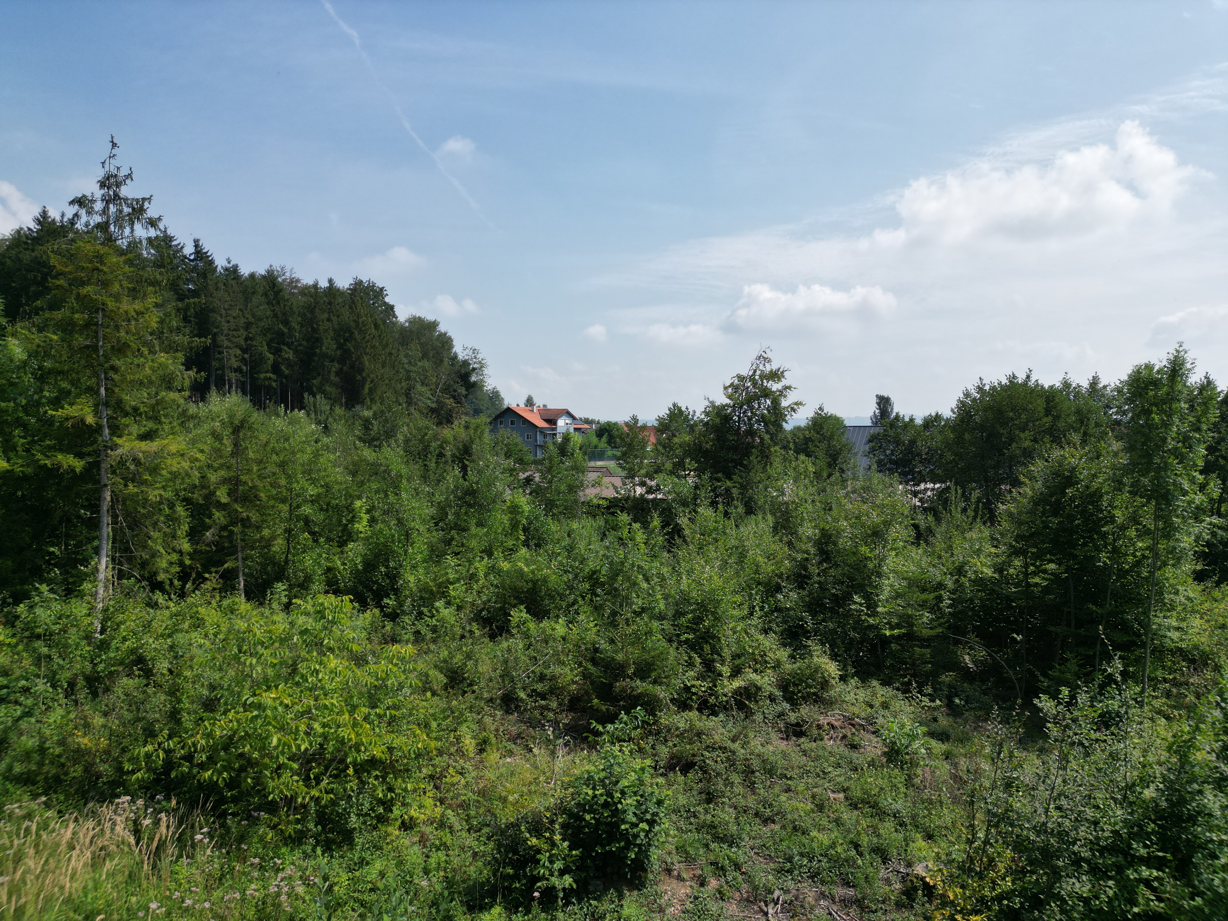 Ihr Grundst�ck in Stadl bei Moosdorf /  / 5141&nbsp;Stadl  / Bild 4