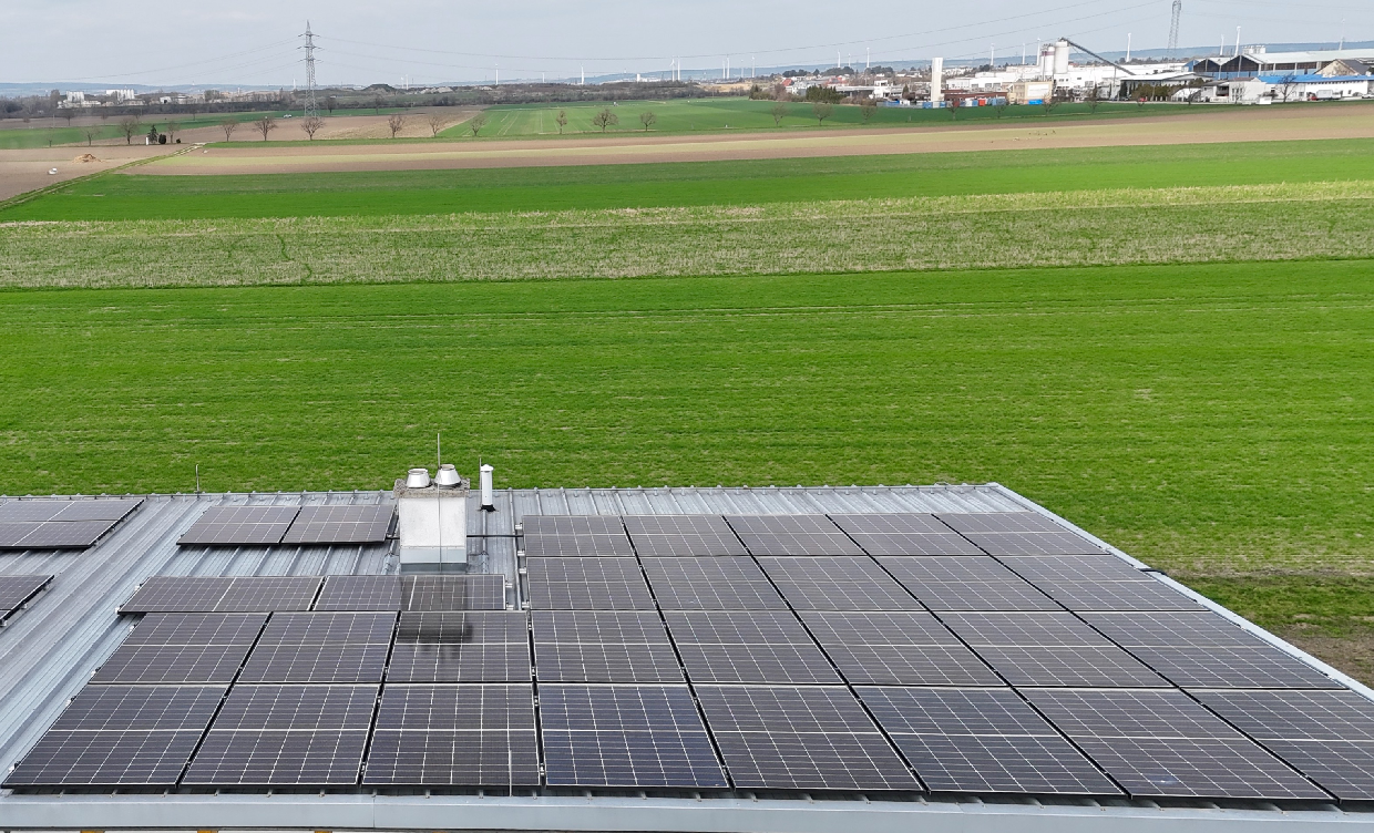 Familienfreundliche Doppelhaush�lfte mit Photovoltaik, Klimaanlage & zwei Stellpl�tzen /  / 2201&nbsp;Gerasdorf bei Wien / Bild 6