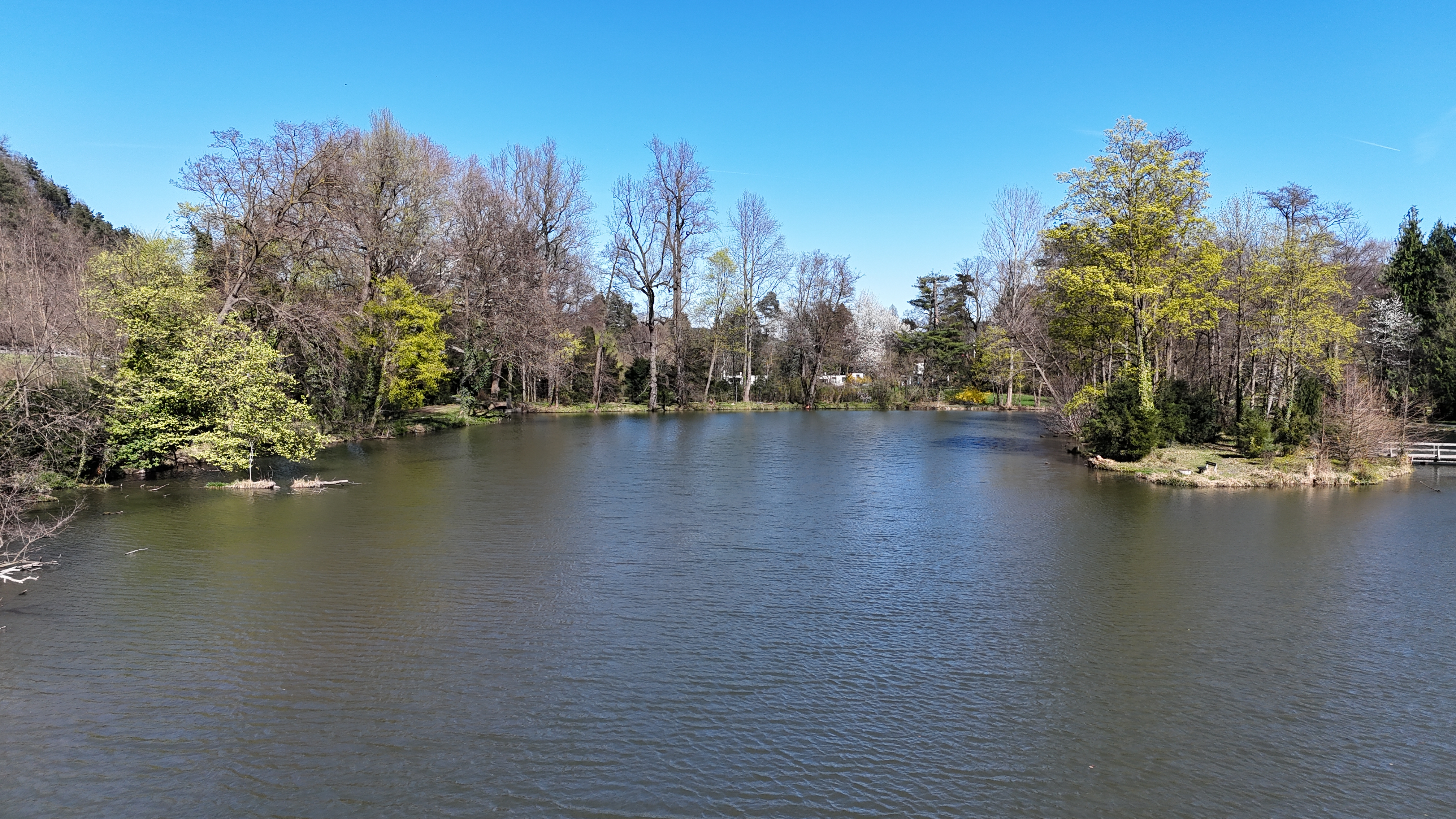 Wohnen im privaten Naturparadies: Modernisierter Bungalow im Schlosspark Seebenstein /  / 2824&nbsp;Seebenstein / Bild 1