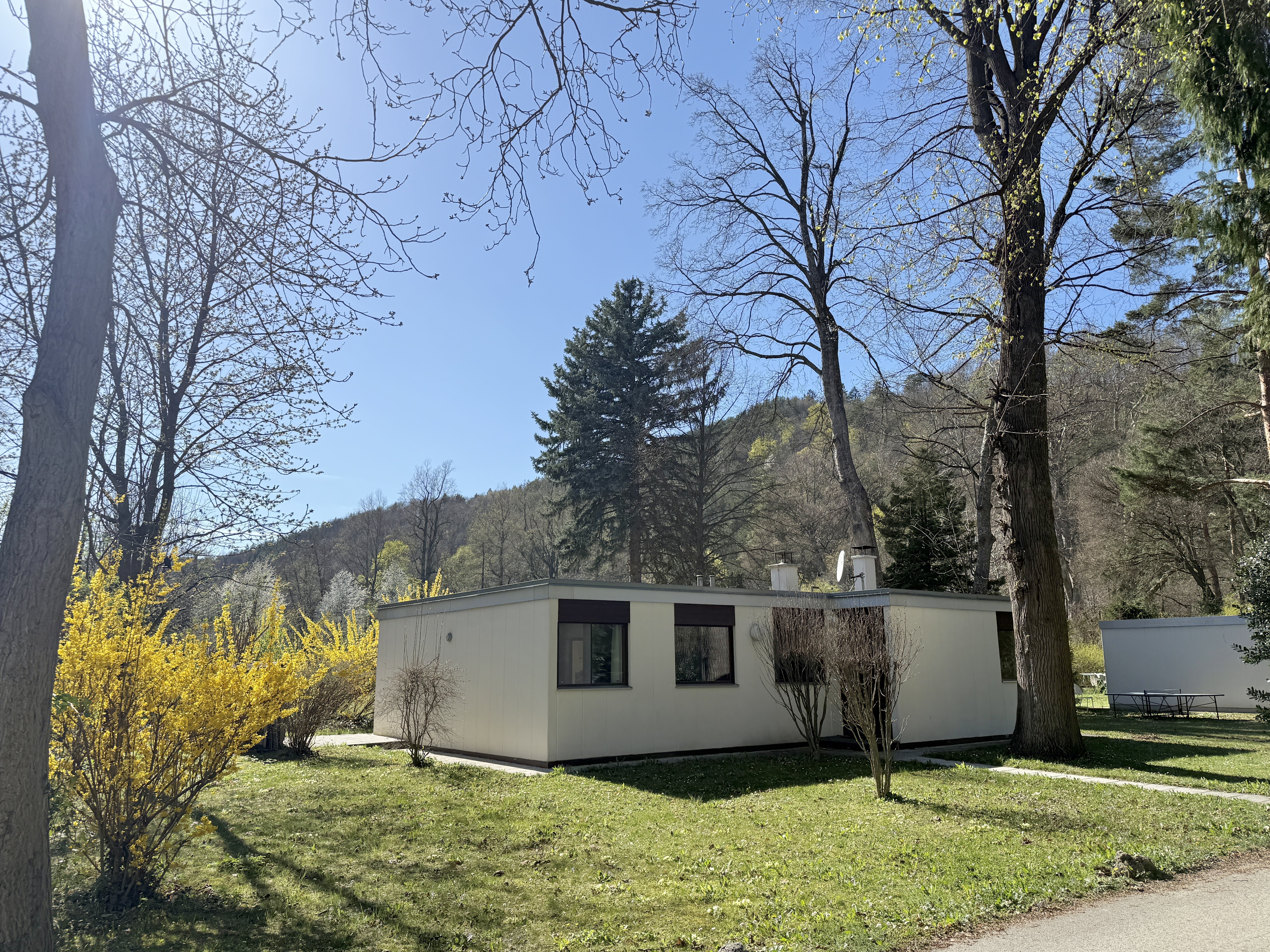 Wohnen im privaten Naturparadies: Modernisierter Bungalow im Schlosspark Seebenstein /  / 2824&nbsp;Seebenstein / Bild 2