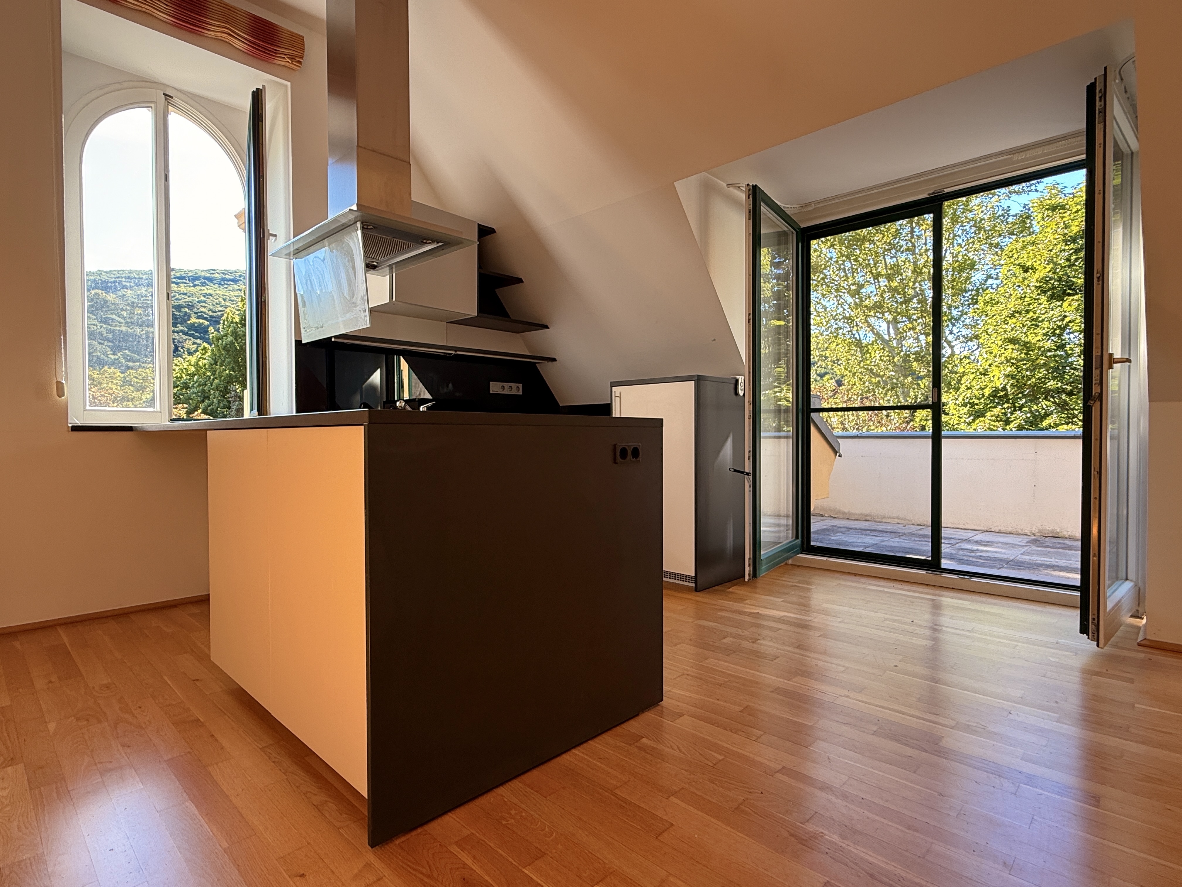 Adventsaktion: Provisionsfrei! Dachterrasse mit Grnblick I ca. 2.000 m Gartenflche zur Mitbenutzung I barrierefrei I ca. 3,20m Raumhhe I  /  / 2500 Baden / Bild 2