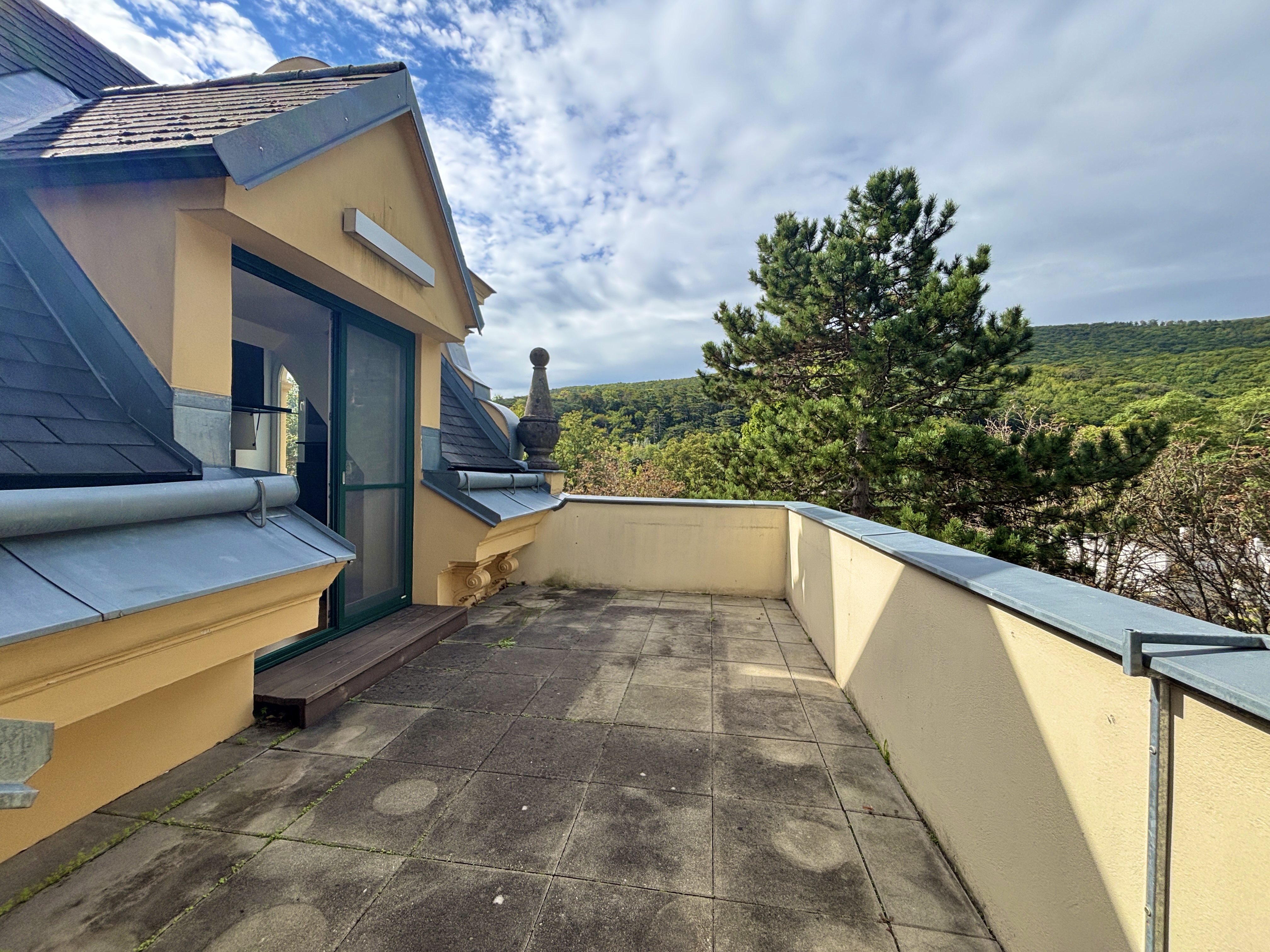 Adventsaktion: Provisionsfrei! Dachterrasse mit Grnblick I ca. 2.000 m Gartenflche zur Mitbenutzung I barrierefrei I ca. 3,20m Raumhhe I  /  / 2500 Baden / Bild 4