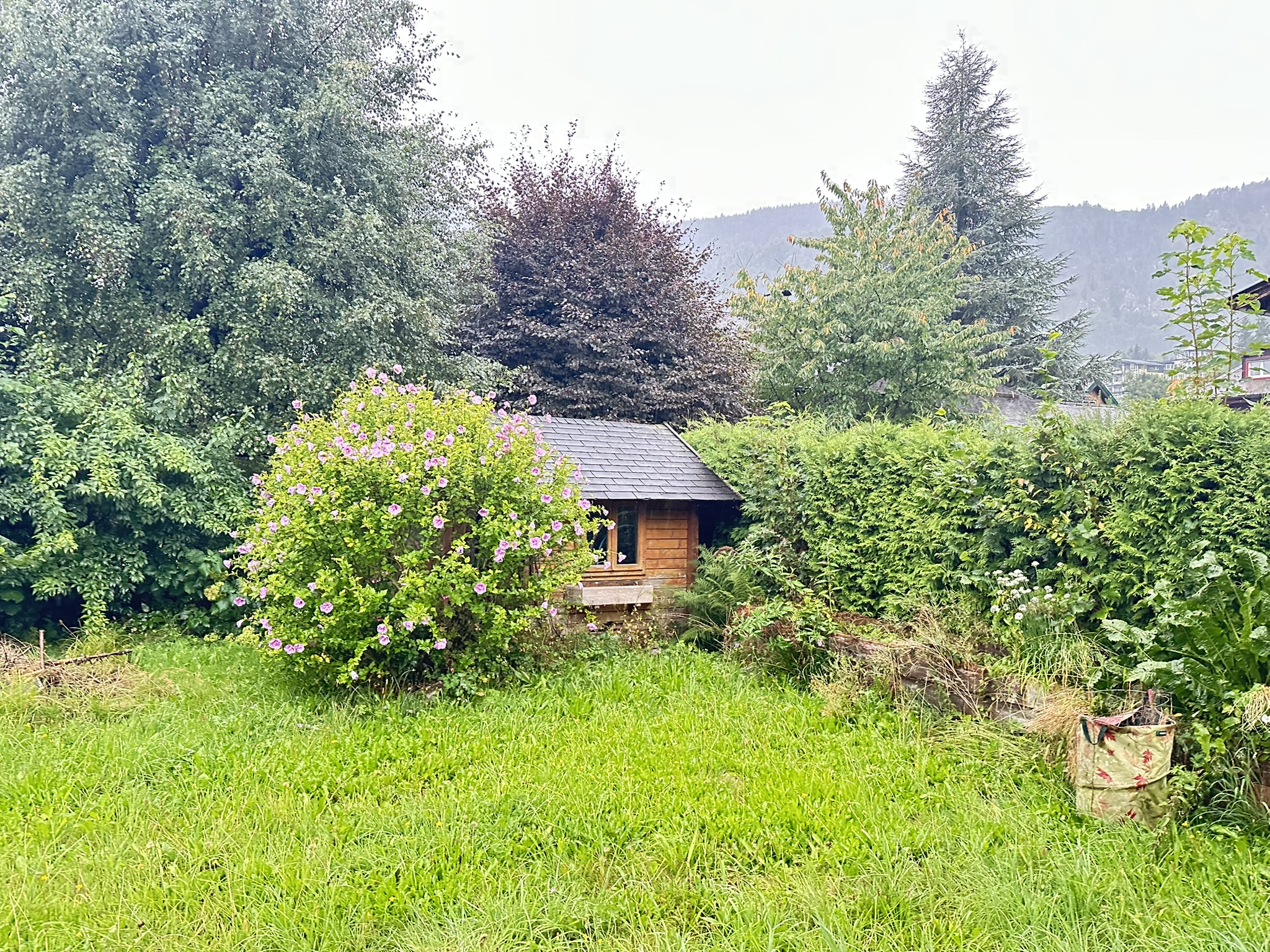 Rarit�t am Wolfgangsee - Zweitwohnsitz m�glich /  / 5340&nbsp;Sankt Gilgen / Bild 2
