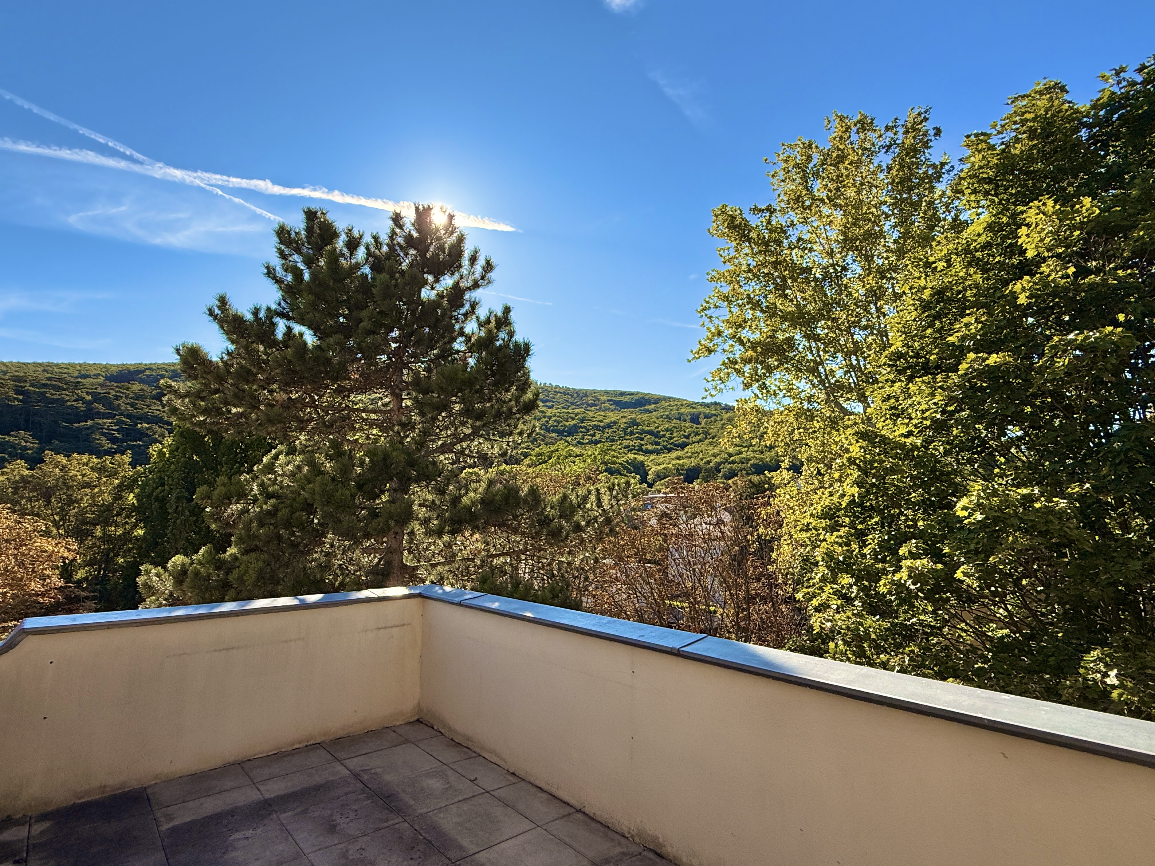 S�dwest-Dachterrasse inkl. Blick ins Gr�ne I 3,20m Raumh�he I Stellpl�tze verf�gbar I freier Mietzins