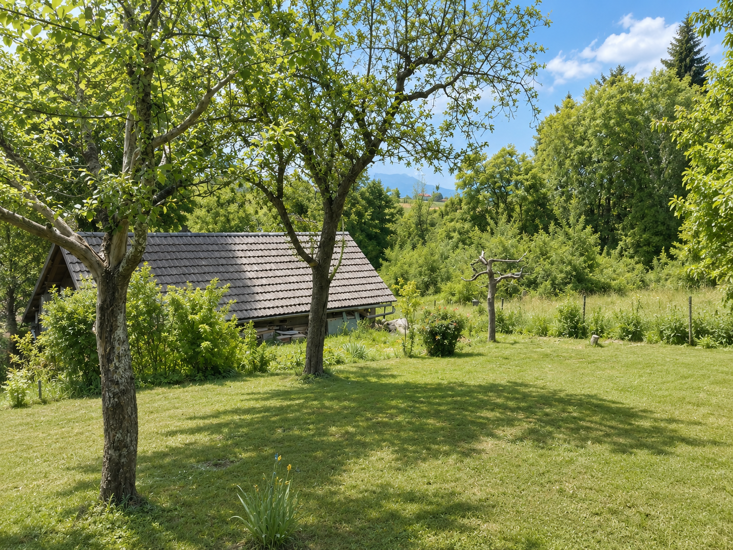 Gepflegtes Einfamilienhaus mit 6 Zimmern und Fernblick in Ludmannsdorf /  / 9072&nbsp;Ludmannsdorf / Bild 8
