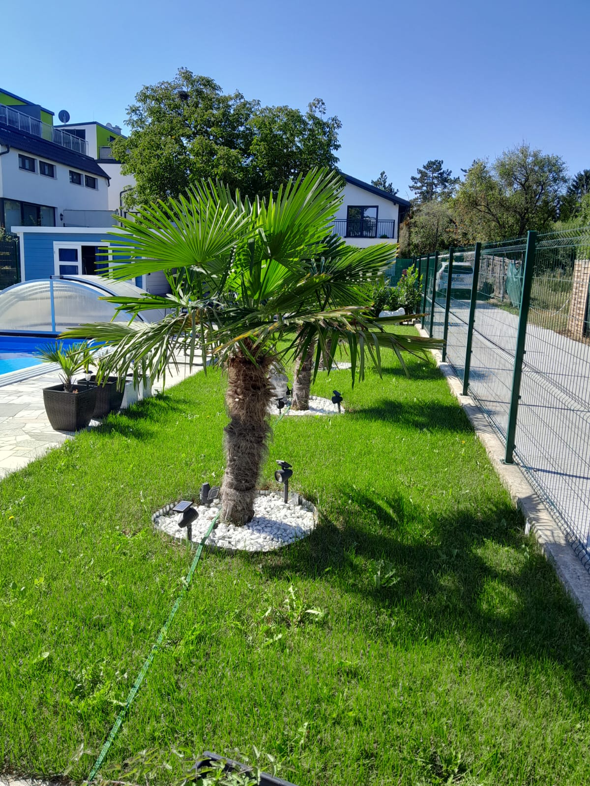 Attraktives Einfamilienhaus in G�nserndorf mit Pool /  / 2230&nbsp;G�nserndorf / Bild 2