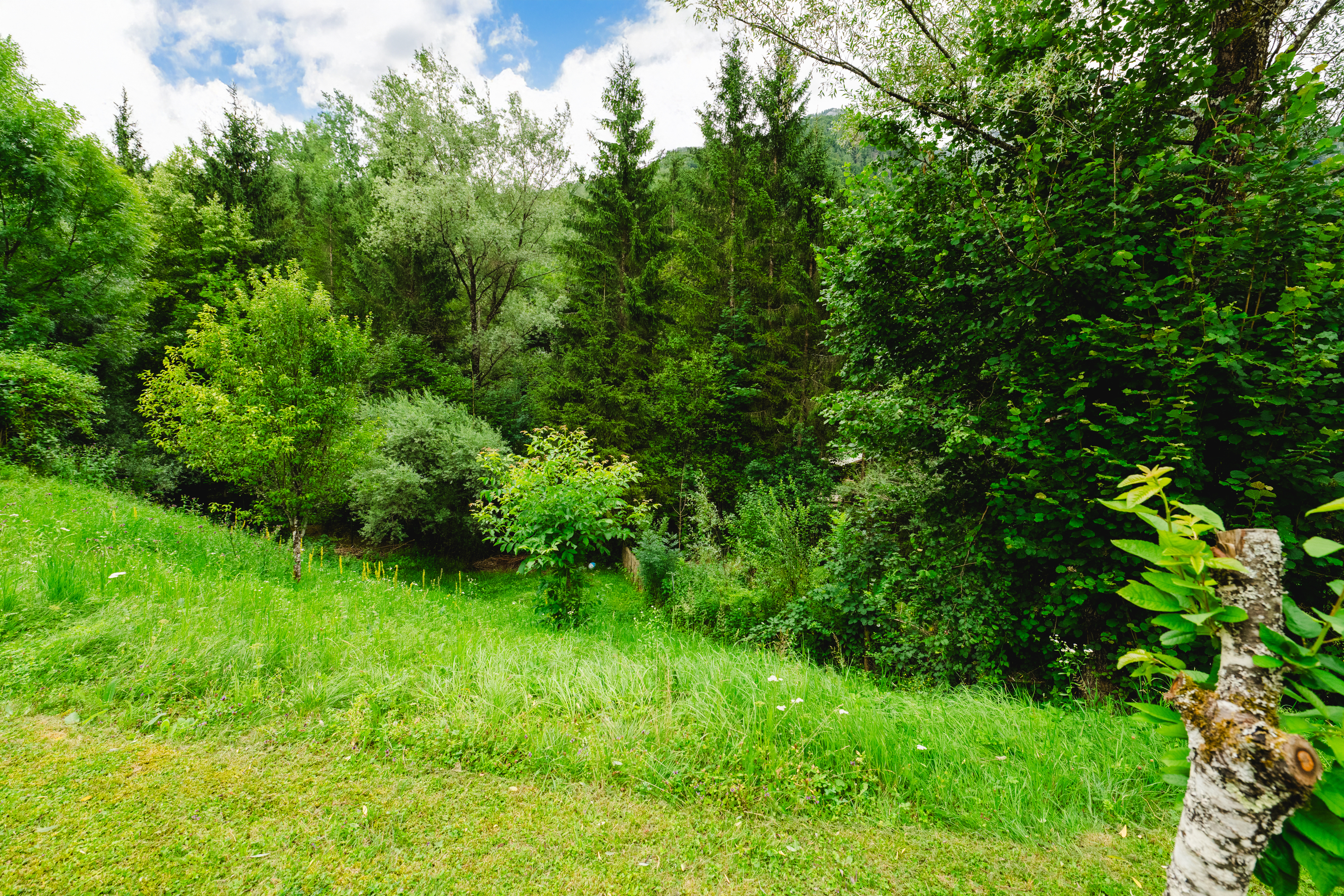 Wohnen in Gr�dig in Natur-Ruhelage - am Fu� des Untersbergs  /  / 5082&nbsp;Gr�dig / Bild 15