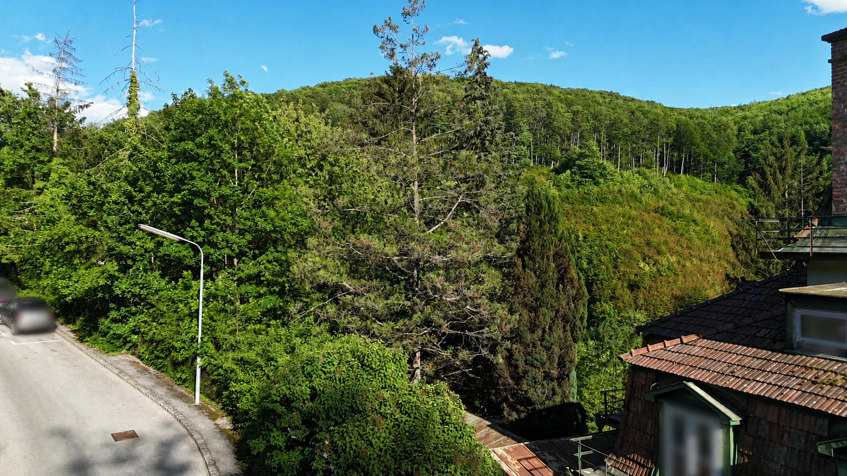 Mitten im Gr�nen und trotzdem in Wien ? S�dseitiges Baugrundst�ck in idyllischer Waldrandlage /  / 1140&nbsp;Wien / Bild 1