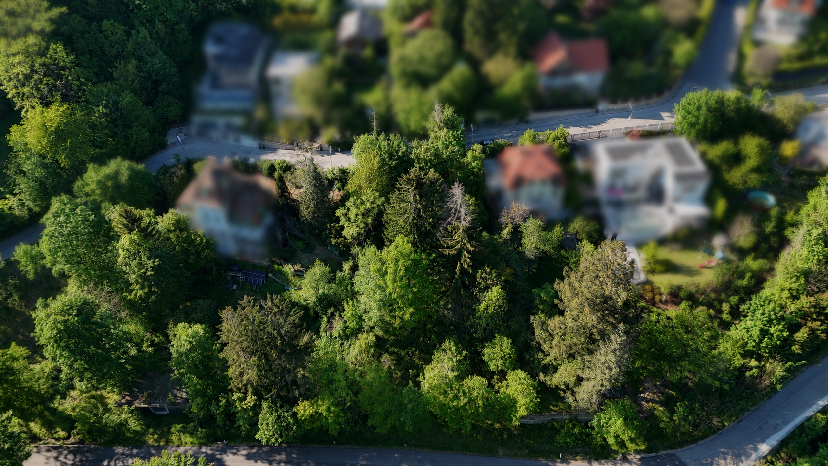 Mitten im Gr�nen und trotzdem in Wien ? S�dseitiges Baugrundst�ck in idyllischer Waldrandlage /  / 1140&nbsp;Wien / Bild 3