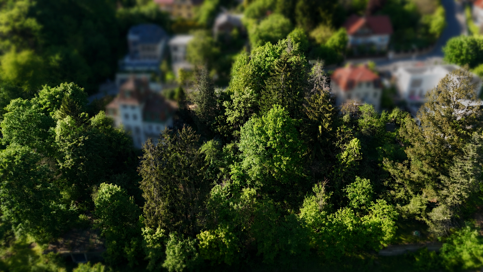 Mitten im Gr�nen und trotzdem in Wien ? S�dseitiges Baugrundst�ck in idyllischer Waldrandlage /  / 1140&nbsp;Wien / Bild 4