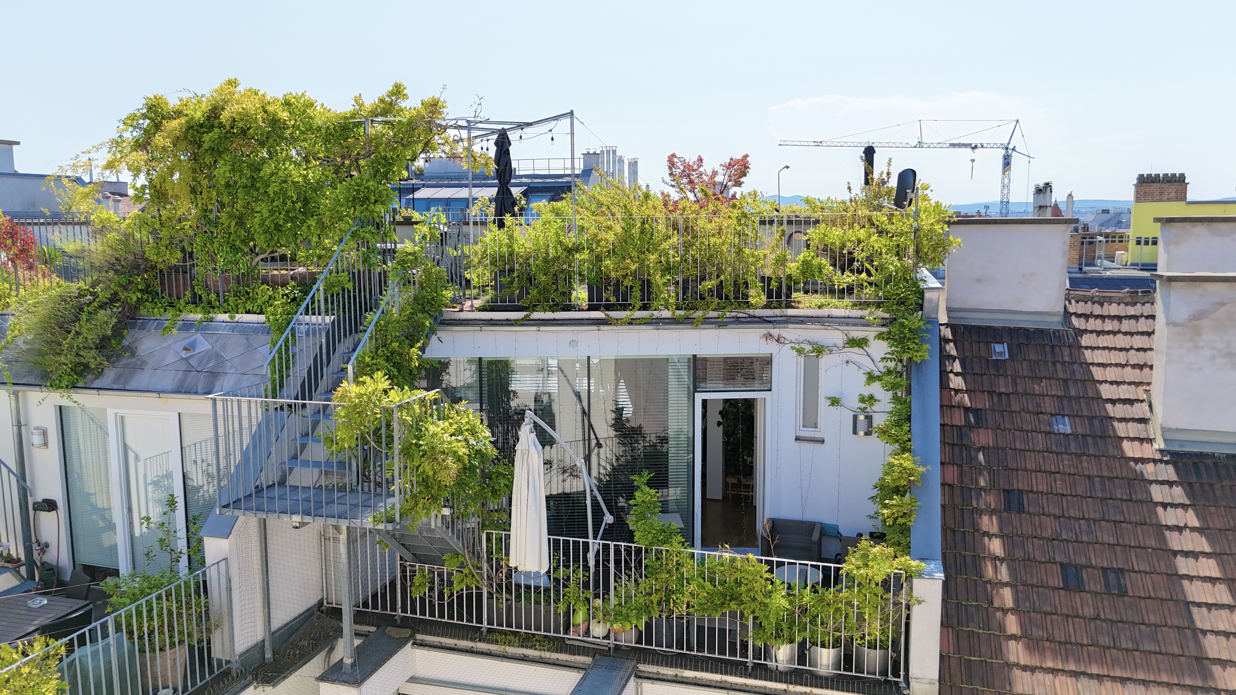 Grner Dachgarten mit Blick ber Wien I exklusive DG - Wohnung I Grozgige Fensterflchen mit Rolllden I Klimaanlage /  / 1040 Wien / Bild 1