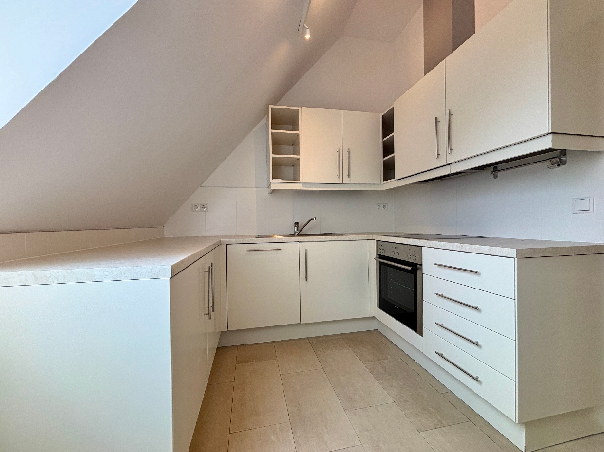 Historische Villa mit 3 DG-Einheiten inkl. Terrassen I 2012 DG Ausbau inkl. Lift I Gr�nlage /  / 2500&nbsp;Baden / Bild 2