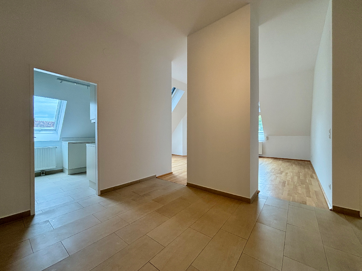 Historische Villa mit 3 DG-Einheiten inkl. Terrassen I 2012 DG Ausbau inkl. Lift I Gr�nlage /  / 2500&nbsp;Baden / Bild 4