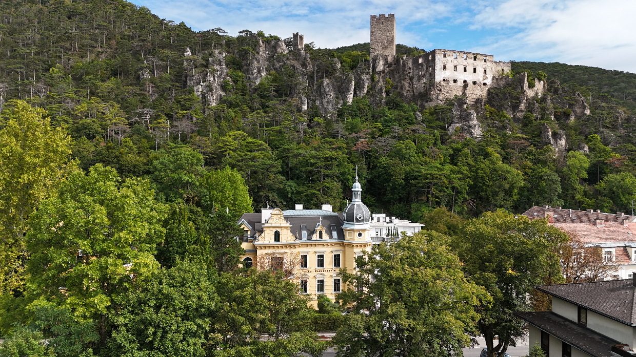 Historische Villa mit 3 DG-Einheiten inkl. Terrassen I 2012 DG Ausbau inkl. Lift I Gr�nlage /  / 2500&nbsp;Baden / Bild 7