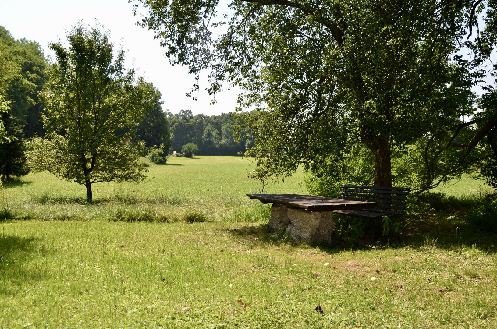 Projektgrundst�ck mit �ber 4.000 m2: Natur, Freizeit & Neubauoptionen