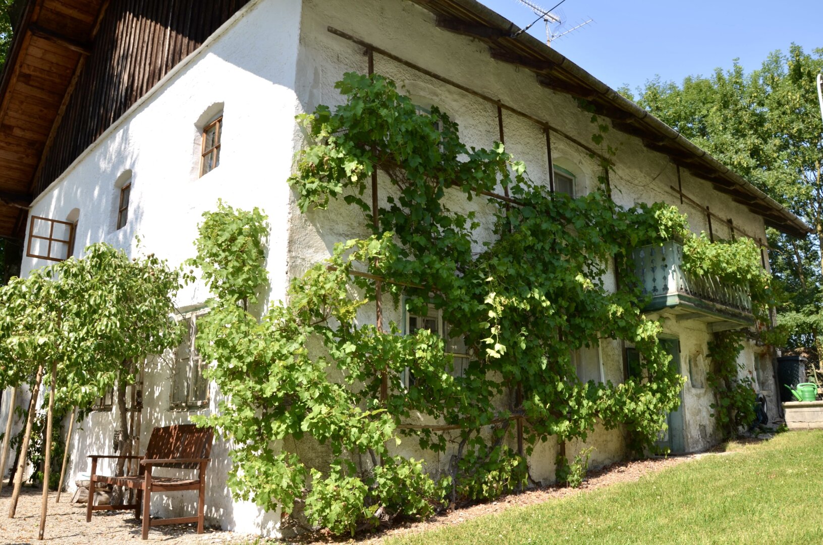 Projektgrundst�ck mit �ber 4.000 m2: Natur, Freizeit & Neubauoptionen /  / 4963&nbsp;St. Peter am Hart / Bild 4