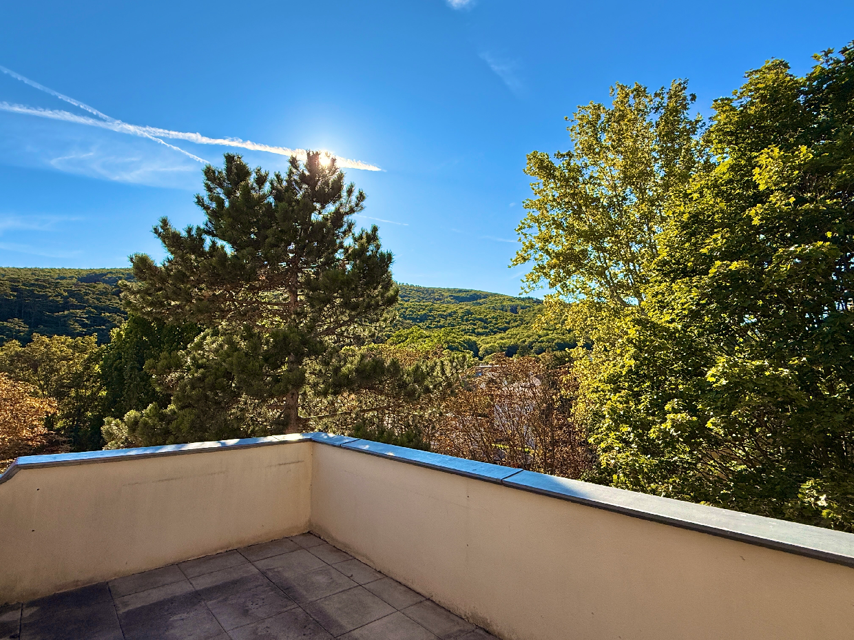 Historische Villa mit 3 DG-Einheiten inkl. Terrassen I 2012 DG Ausbau inkl. Lift I Gr�nlage /  / 2500&nbsp;Baden / Bild 1