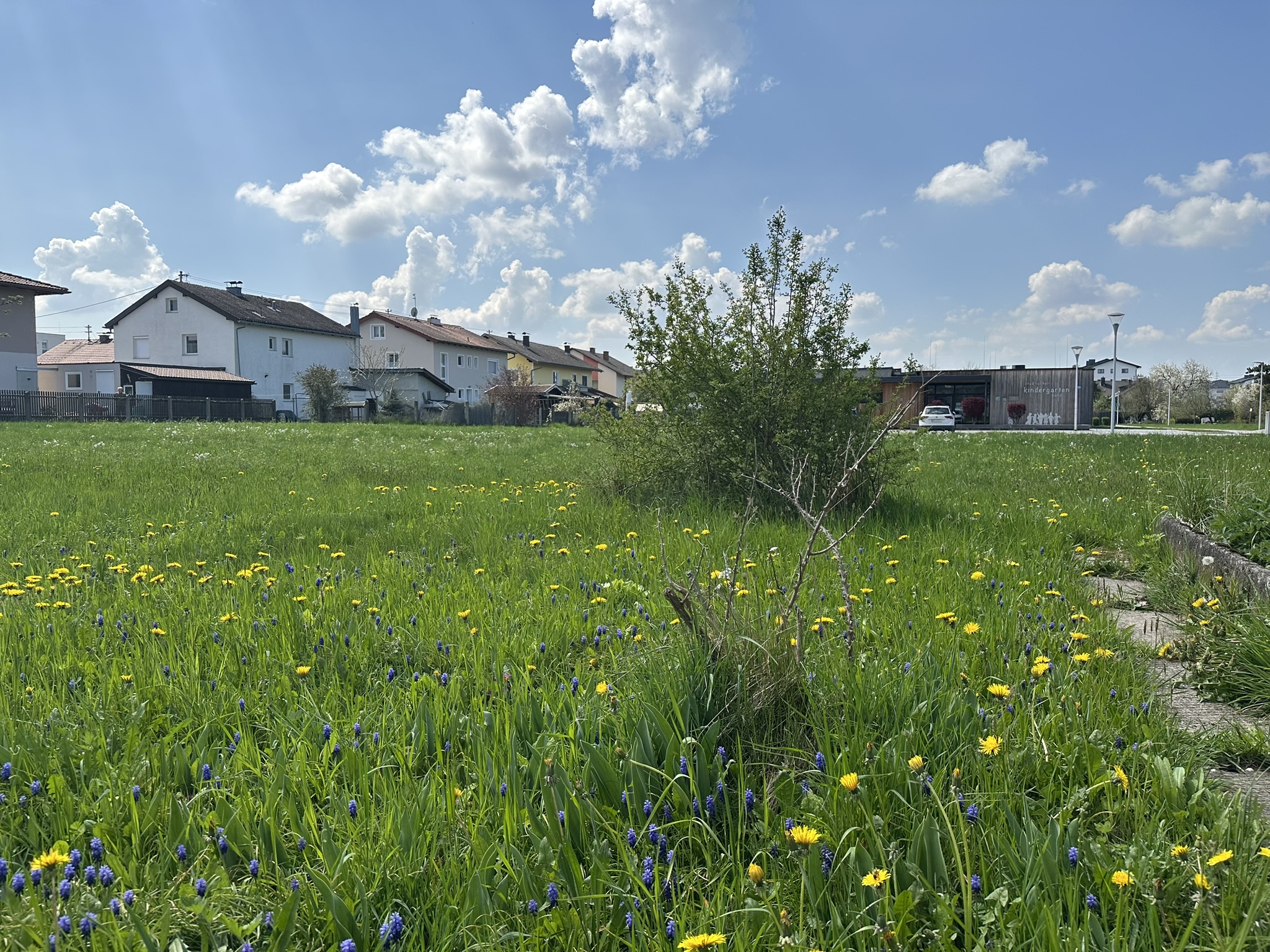 Traumhaftes Grundst�ck in Ruhelage in Mattighofen /  / 5231&nbsp;Mattighofen / Bild 7