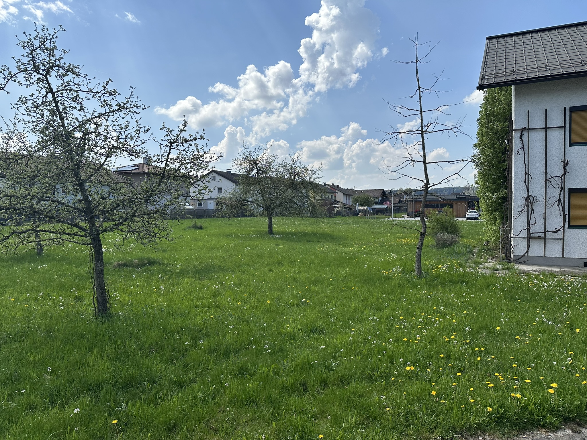 Traumhaftes Grundst�ck in Ruhelage in Mattighofen /  / 5231&nbsp;Mattighofen / Bild 8