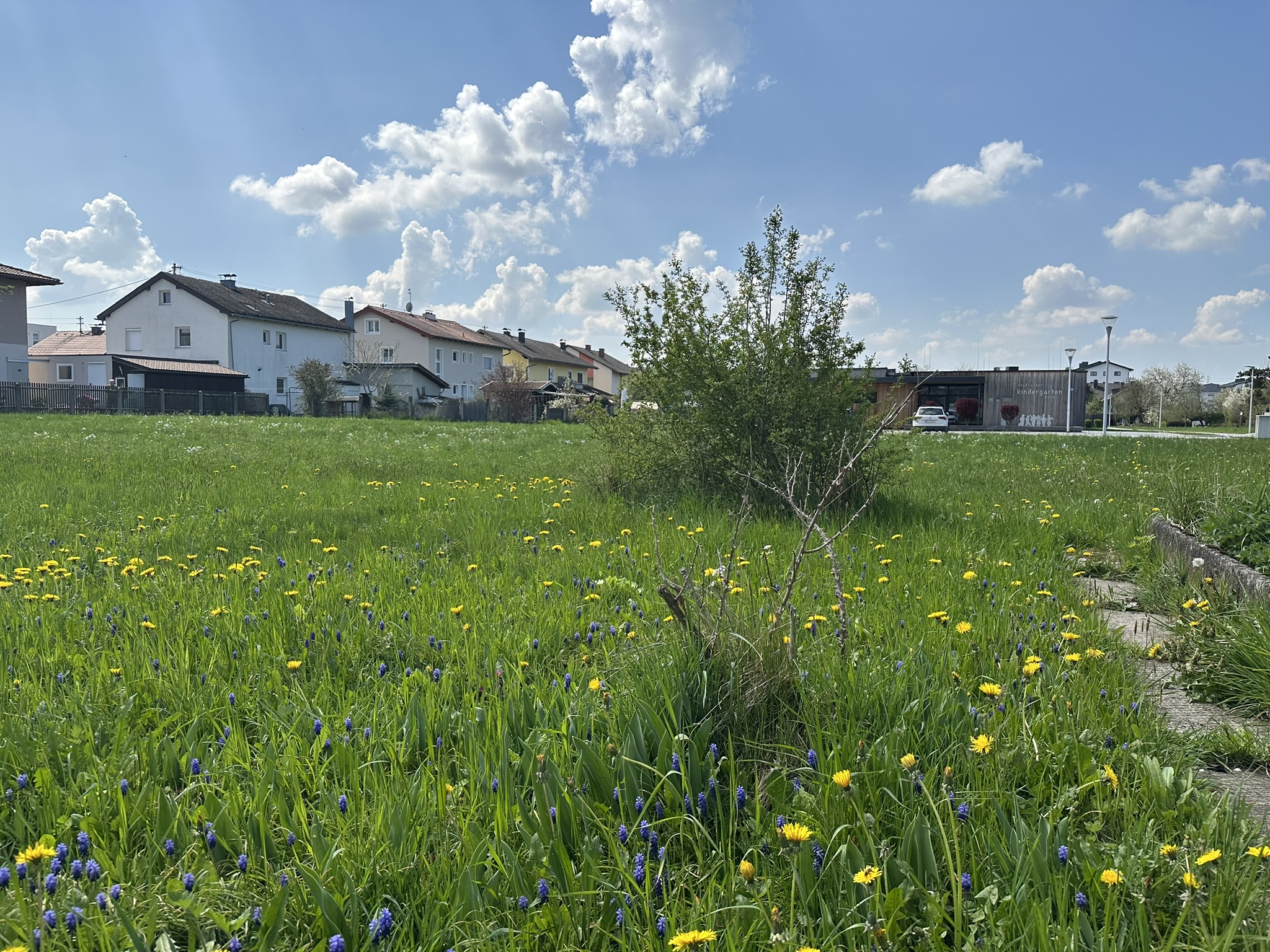 Traumhaftes Grundst�ck in Ruhelage in Mattighofen /  / 5231&nbsp;Mattighofen / Bild 6