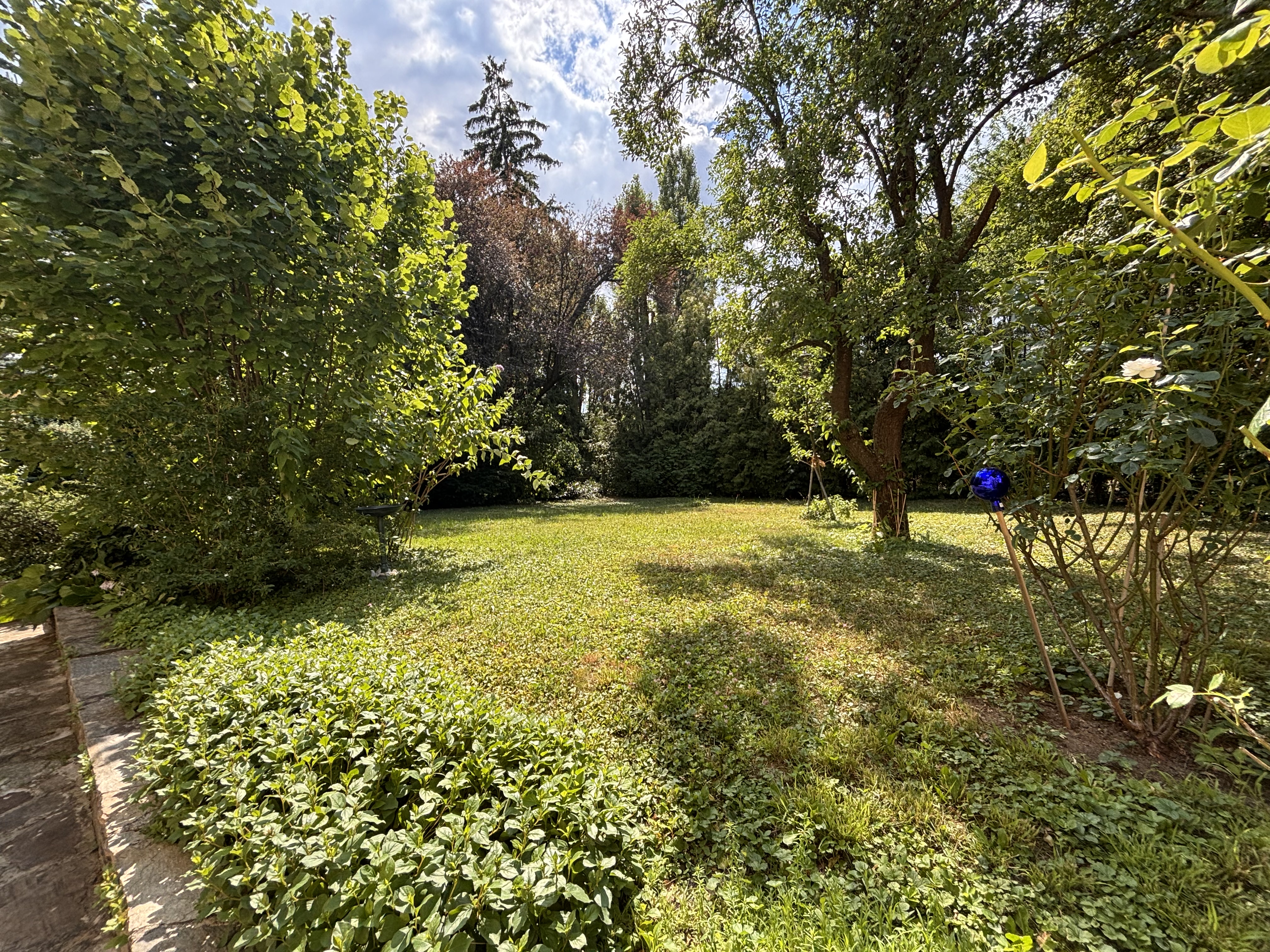 Spitzen-Investment in Liesing: Ideales Baugrundst�ck/Sanierungsobjekt mit attraktivem Preis dank Wohnrecht /  / 1230&nbsp;Wien / Bild 2