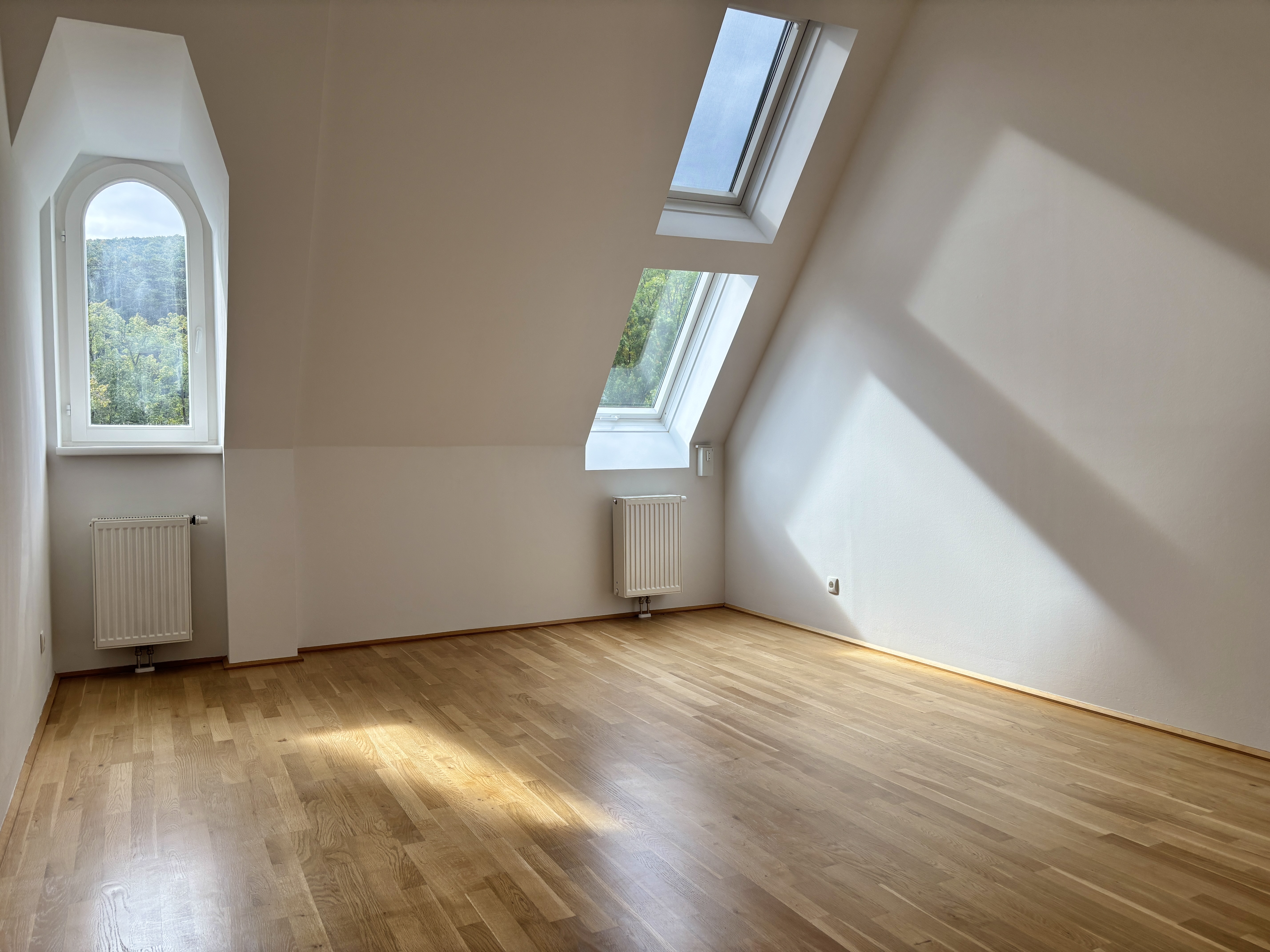 Adventsaktion: PROVISIONSFREI! Dachgeschoss-Turm-Wohnung mit 5 Meter Raumhhe I umfassen saniert I  /  / 2500 Baden / Bild 3